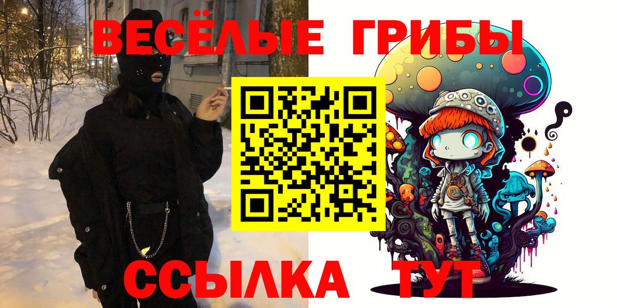 Тольятти  Галлюциногенные грибы GOLDEN TEACHER  Вход с VPN  Галлюциногенные грибы Psilocybine cubensis 