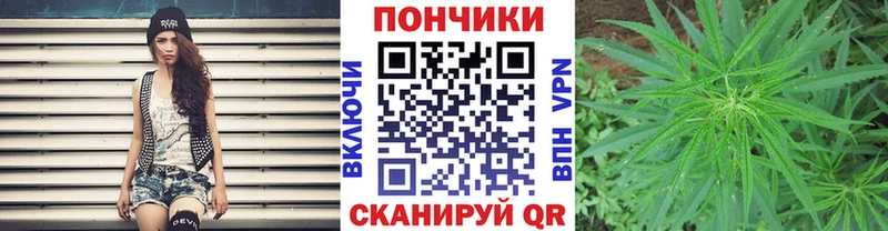 Конопля Bruce Banner  Тольятти 